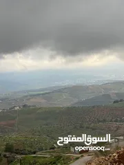  16 ارض للبيع جرش عنيبه منطقة شاليهات مساحة الارض 3500متر بقوشان مستقل اطلاله مميزه جدا جدا