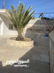  8 بيت مع الارض جاهز للسكن طابو B سعر مناسب من مالك مباشر  بين أبو نجيم واد  رحال موقع هادي السكن