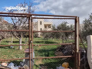  4 700 متر للبيع ضاحية الزيتون