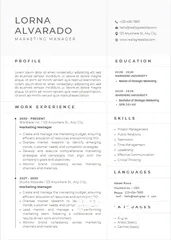  6 تصميم CV احترافي خلال نص ساعة - باللغة الانقليزية او العربية - بافضل سعر بالمملكة
