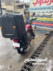  5 دايون جبلي مرقم