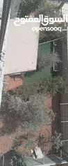  3 عقار مستقل للبيع