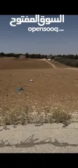  6 قطعة ارض زراعي وتصلح سكني داخل التنظيم قوشان مستقل مساحه 7557 متر مربع في مأدبا (ذيبان) واجهة 32 متر
