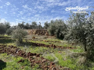  9 ارض مميزة تصلح لمزرعة او شاليه مقابل مطعم بيت شاكر والاسطبلات الملكية
