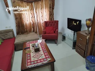  6 شقه مفروشه في عين منجد