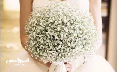  20 مونتاج حفلات السيدات والأعراس على يد صبايا محترفات