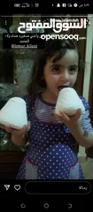  10 منتجاتنا من بيتا بالكرك