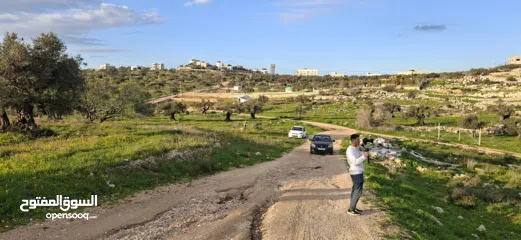  16 دونم ارض طابوا فلسطيني منطقة (B)بالقرب من دوار كفرصور جميع الخدمات فيها عليها شارع 12متر موقع مميز