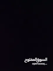  4 شقه طابق ارضي للبيع في منطقه الرمال