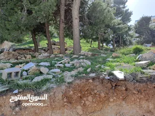  5 الكمالية / صويلح ارض 780م سكن ب على شارعين حوض عين ام جوزة بسعر جيد