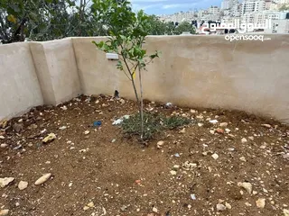  1 شقه للبيع قرب شا ع ركب والكلية الاهليه مساحه 110م مع حديقه 100م