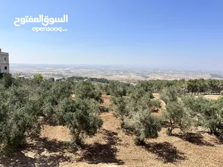  9 قطعة ارض للبيع مميزه ومطلة المساحة 4,609