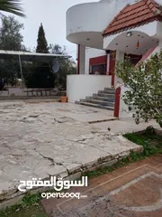  3 بيت للايجار الرمثا الحي الشرقي قرب مسجد الابرار