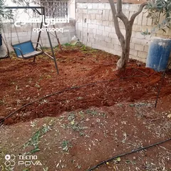  3 شجرنا انتاجنا