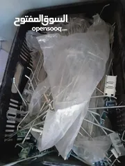  21 اسلام مضيه حلحول