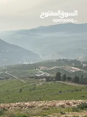  4 ارض للبيع في جرش مشروع عنيبه 17قطعة 3500متر بقوشان مستقل واصل الخدمات كامله اطلاله بنوراما مميزه جدا