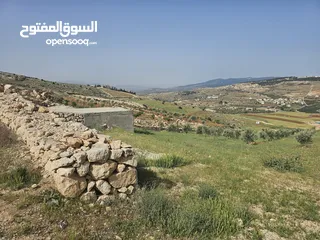  11 مزرعه للبيع. فرصه استثمارية رائعة! مزرعه قائمة وجاهزه للبيع بموقع استراتيجي في منطقة هادئة وطبيعه خل