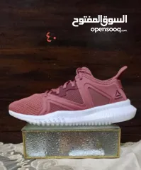  26 شروه احذية 60 جوز اصلي اوروبي منضف معقم جاهز للبيع