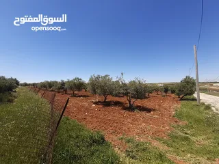  10 مادبا الفيحاء قطعتين متجاورتين  بجانب التنظيم غرب النديم والحراويه بمنطقة فلل ومزارع خاصة