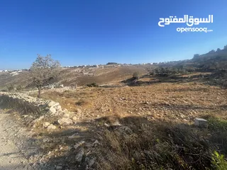  3 ارض للبيع في واد رحال