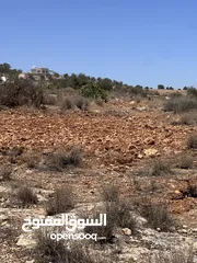  11 للبيع قطعة ارض منطقة نادرة / شرق جرش موقع مميز جدا وبسعر مغري