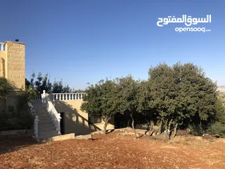  23 مزرعة مميزة و مطلة قرب نسيم الجبل-  ام العمد