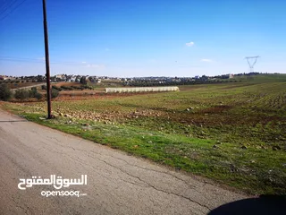  16 المفرق رحاب قرية البويضة حوض التل من المالك مباشرة