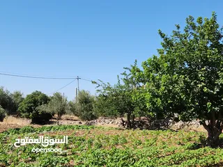  2 ارض للبيع في بدر الجديده 699م في الرباحيه الجنوبيه تبعد عن مسجد الحدائق 7 دقائق