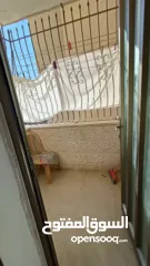  8 شقه مفروشه