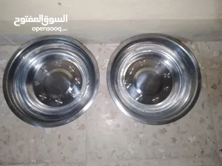  10 قطتين أنثى و ذكر