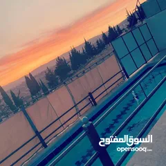  3 احجز معنا في مزرعه ماريا (جرش) احلا اطلاله بانوراميه خلابه على جبال سوف والسلط وعمان في منطقة هادئة