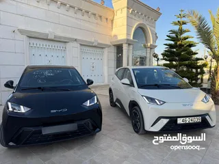  6 بي واي دي سيجول مستعمل