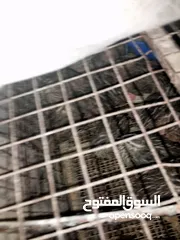  3 طير فر للبيع العدد60 حبةة مع القفص