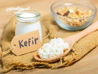  1 فطر الكفير الهندي الطبيعي متوفر و يمكن مضاعفته يتوفر شرح مرفق بطريقة استخدامه