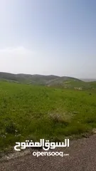  16 مادبا ماعين قطعة أرض زراعية مميزة مطلة على البحر الميت والضفة الغربية بمساحة 21 دونم