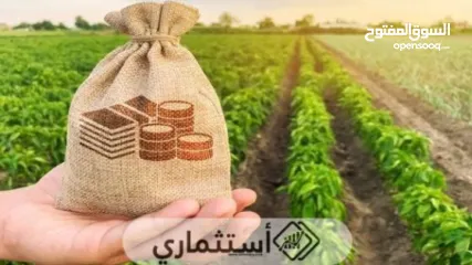  4 برنامج تعليم وتدريب  ( نخبة التداول والاستثمار ) الاخترافي