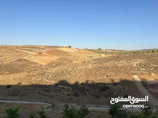  5 أرض زراعية للبيع في سيحان / البلقاء 5 دونمات و 300 متر.