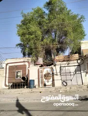 3 دار للبيع في حي الحسين الحيانيه شارع 60 العام
