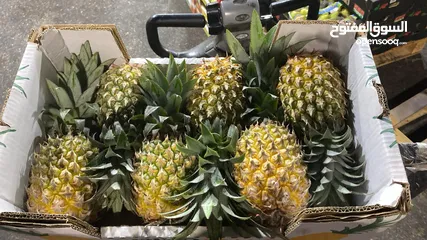  1 مشروع تجاري مربح بحاجه لتمويل