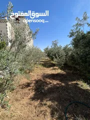  9 بيت طابقين