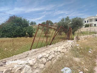  3 دنم مميز بطنا ع شارعين قرب شارع الستين الجديد
