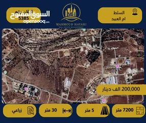  1 رقم الإعلان: (5385) أرض زراعية مميزة للبيع – أم العمد / السلط