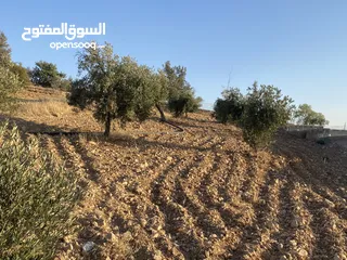  9 فرصة استثمارية لا تعوض ارض 14 دونم مع ملعب قدم خماسي باعلى المواصفات ، مرافق وصاله كبيره وتراس خارجي