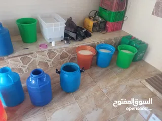  3 مطلوب شريك ممول لمعمل اجبان  يعمل بشكل جيد