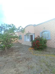  3 House for rent in Al-Juffairah   بيت للايجار في الجفره