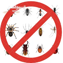  11 مكافحة الحشرات والقوارض والزواحف والرمه والصراصير والبق