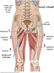  5 مدرب لياقه بدنيه وبناء أجسام ومدرب سباحه