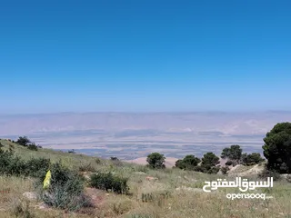  22 2300 م السلط المغاريب قطعة ملوكية تصلح ل فيلا او مزرعة اطلالة ع الغرب و جبال فلسطين