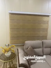  2 برادي زيبرا