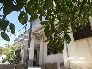  29 بيت مستقل 156م على قطعة أرض مفروزة (4 حدايد) 710م للبيع في ارحابا/اربد